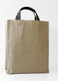 Kraft Bags