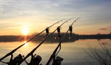 Best Rods For Your Next Carp Fishing Trip