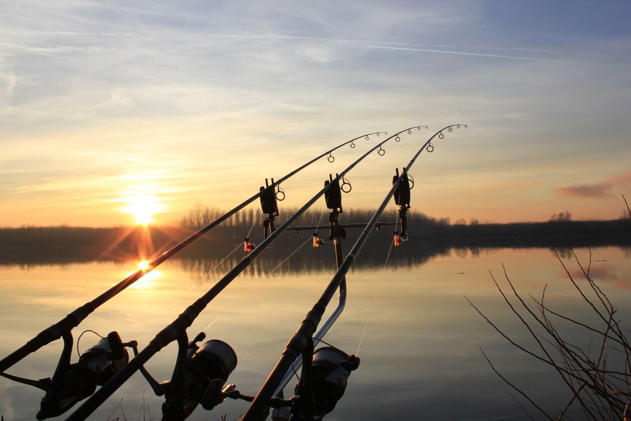 Best Rods For Your Next Carp Fishing Trip 5Blog