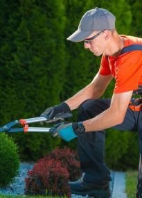 Garden Services